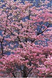 传索尼、任天堂和微软将不会参加E3 2023